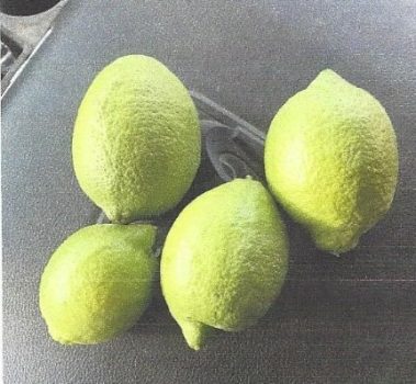 Lemons were the best ever grown.